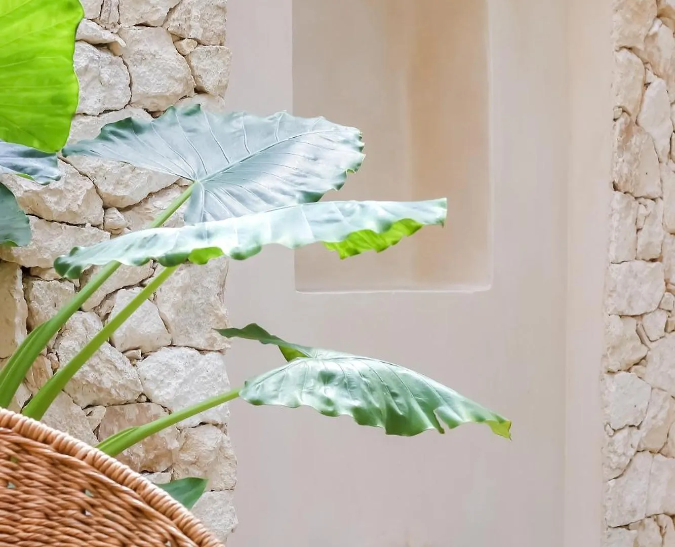 Luxury Townhouse With Private Pool In La Veleta Apartment Tulum 0*,  Mexico