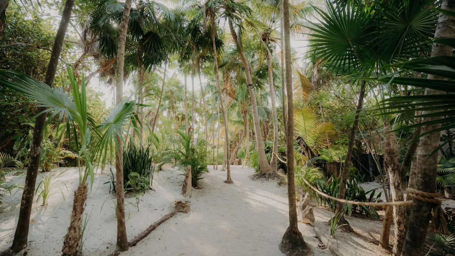 Luxury Townhouse With Private Pool In La Veleta Apartman Tulum 0*,